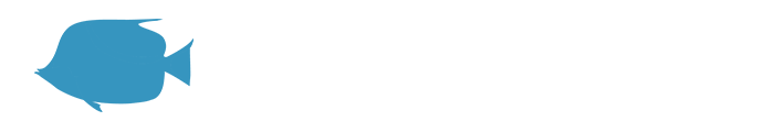 てる歯科医院